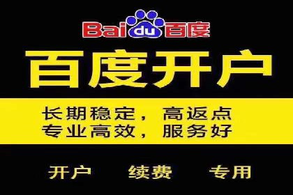 竞价推广代运营服务效果展示
